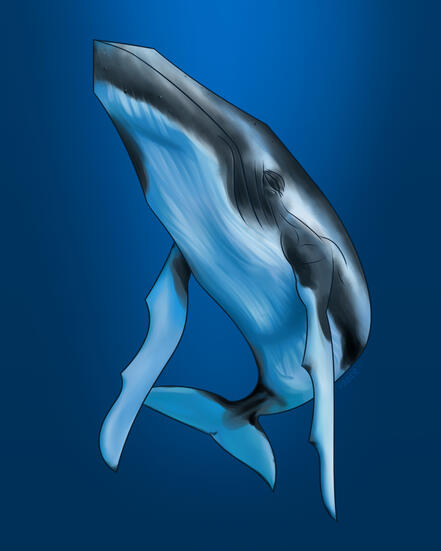 Boceto de Ballena Jorobada nadando hacia la superficie en un océano intenso. Estudio.