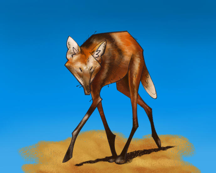 Ilustración de aguará guazú caminando por un piso árido al mediodía. Estudio.