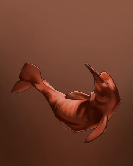 Ilustración de Delfín Rosado del Amazonas bajo el agua del río. Monocromático.